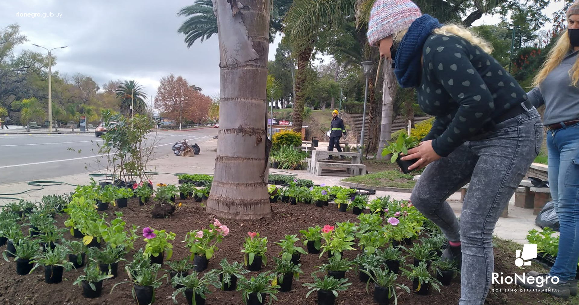 Intendencia de Río Negro